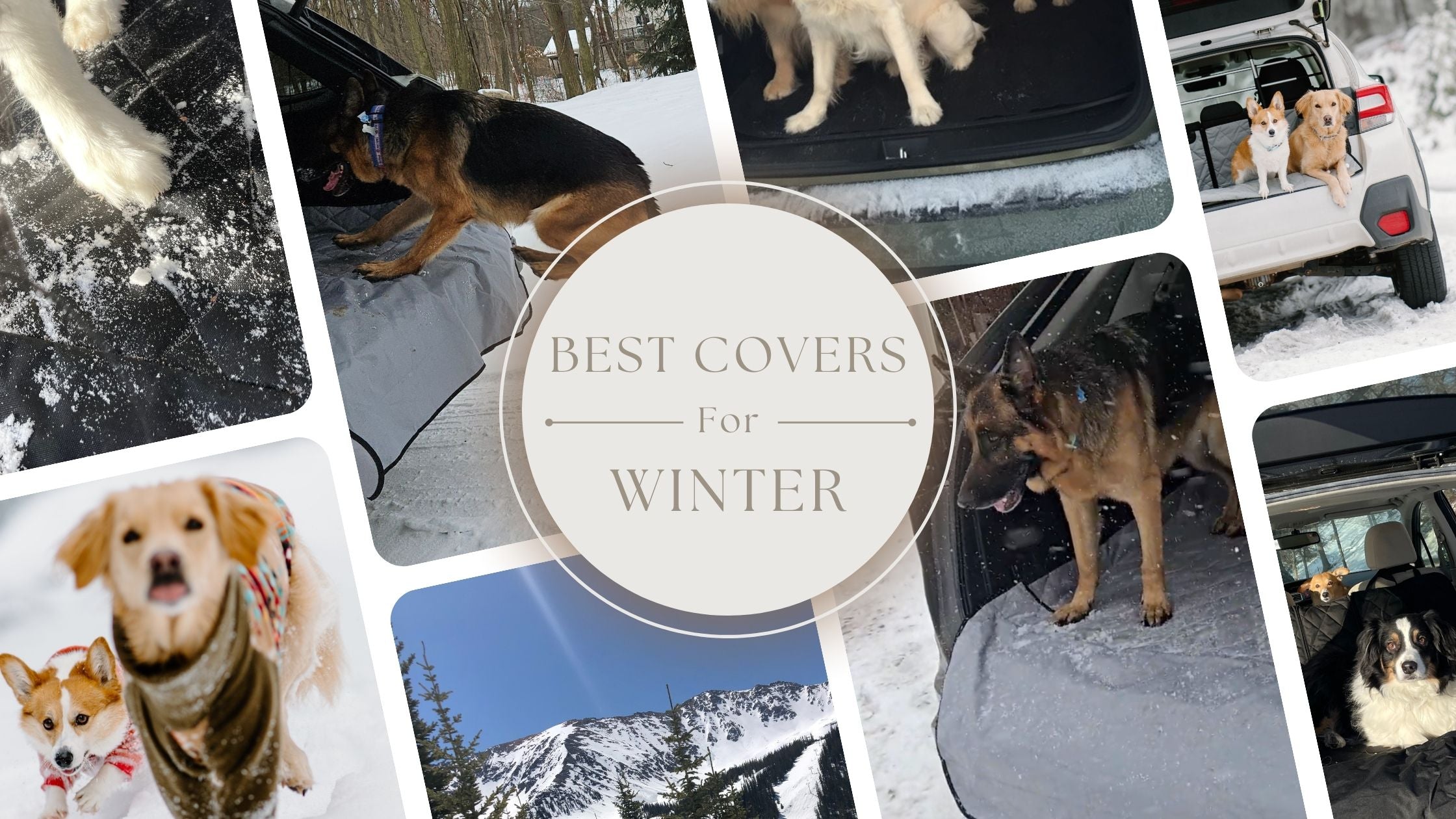 Which Dog Seat Covers Are Best for Winter Conditions? | Top Waterproof & Durable Picks