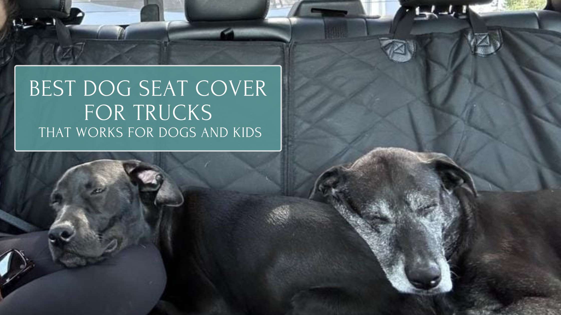Best Dog Seat Cover for Trucks That Works for Dogs and Kids | 4Knines