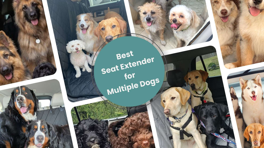 Best Seat Extender for Multiple Dogs – Durable & Easy to Clean