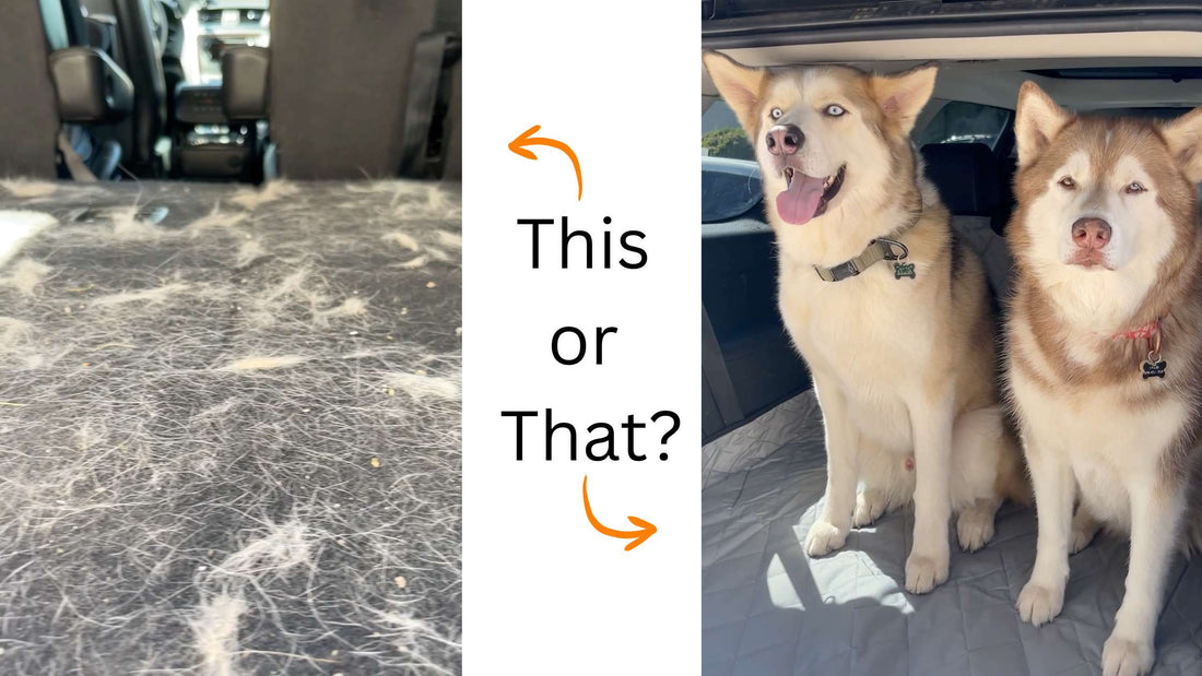 The Ultimate Guide to Choosing the Right Dog Car Seat Cover | 4Knines Car Seat Cover Guide
