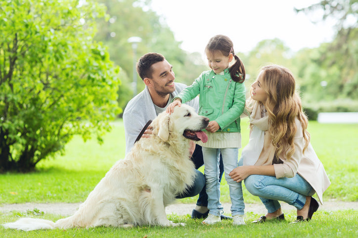 Can Pet Parents Be Helicopter Parents?