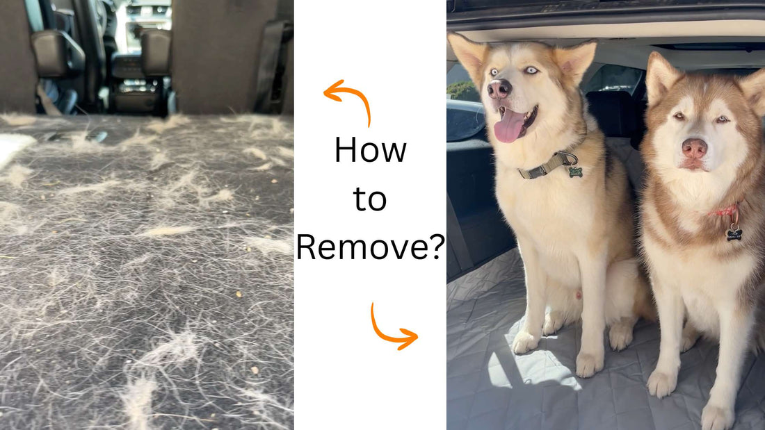 How Do I Remove Dog Hair From My 4Knines Cover? | Easy Cleanup Tips