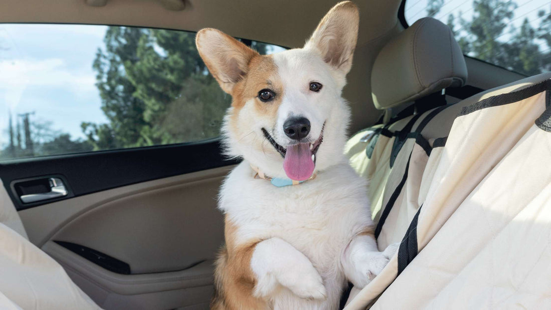 Are There Seat Covers That Are Easy to Remove and Reinstall? | Durable Covers by 4Knines