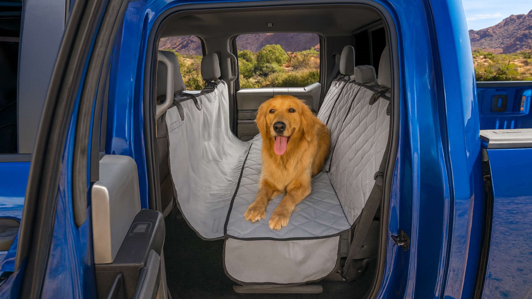 How Do I Prevent Dog Fur from Sticking to Fabric Seats?