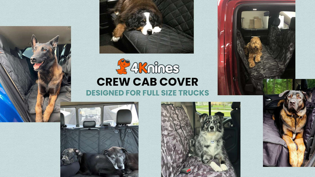 How to Choose the Best Seat Cover for a Truck with Pets | 4Knines Guide
