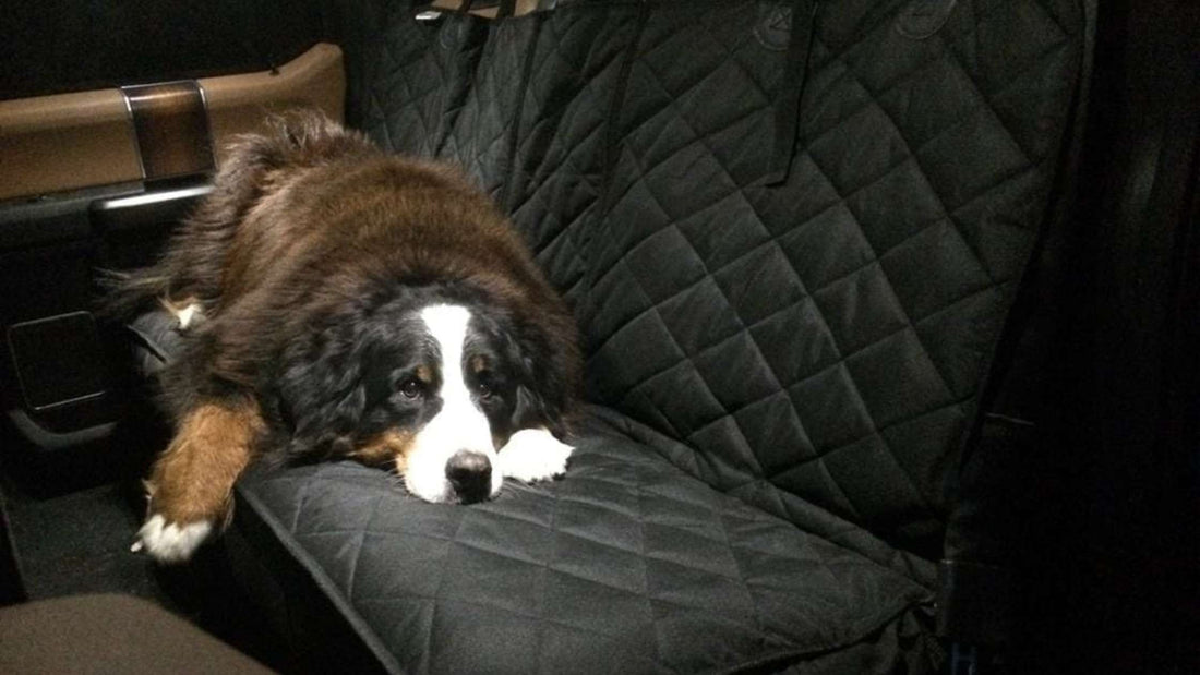 Can I Find Universal-Fit Dog Seat Covers for Specific Truck Models?
