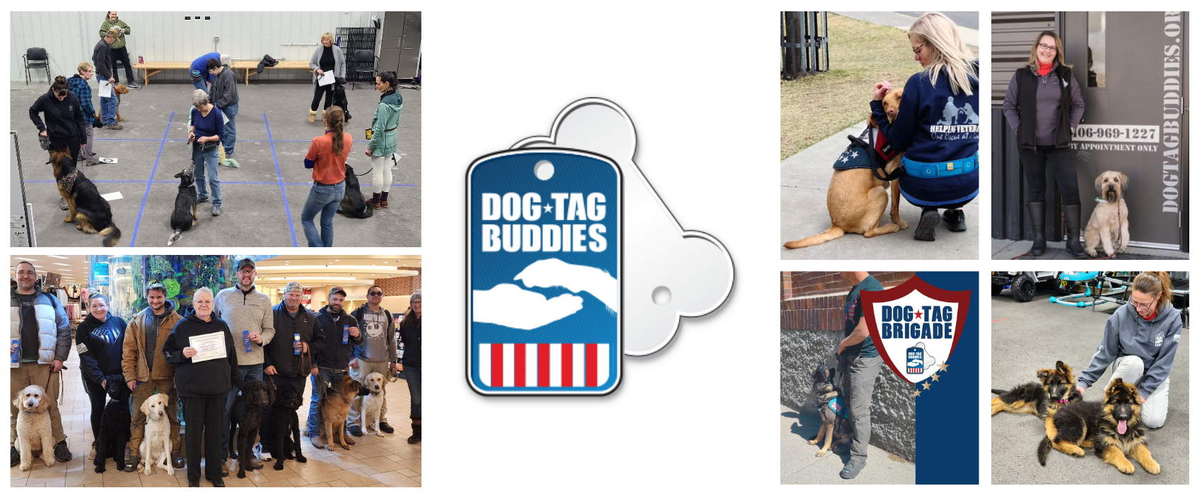 Dog Tag Buddies: Transforming Lives Through Service Dogs