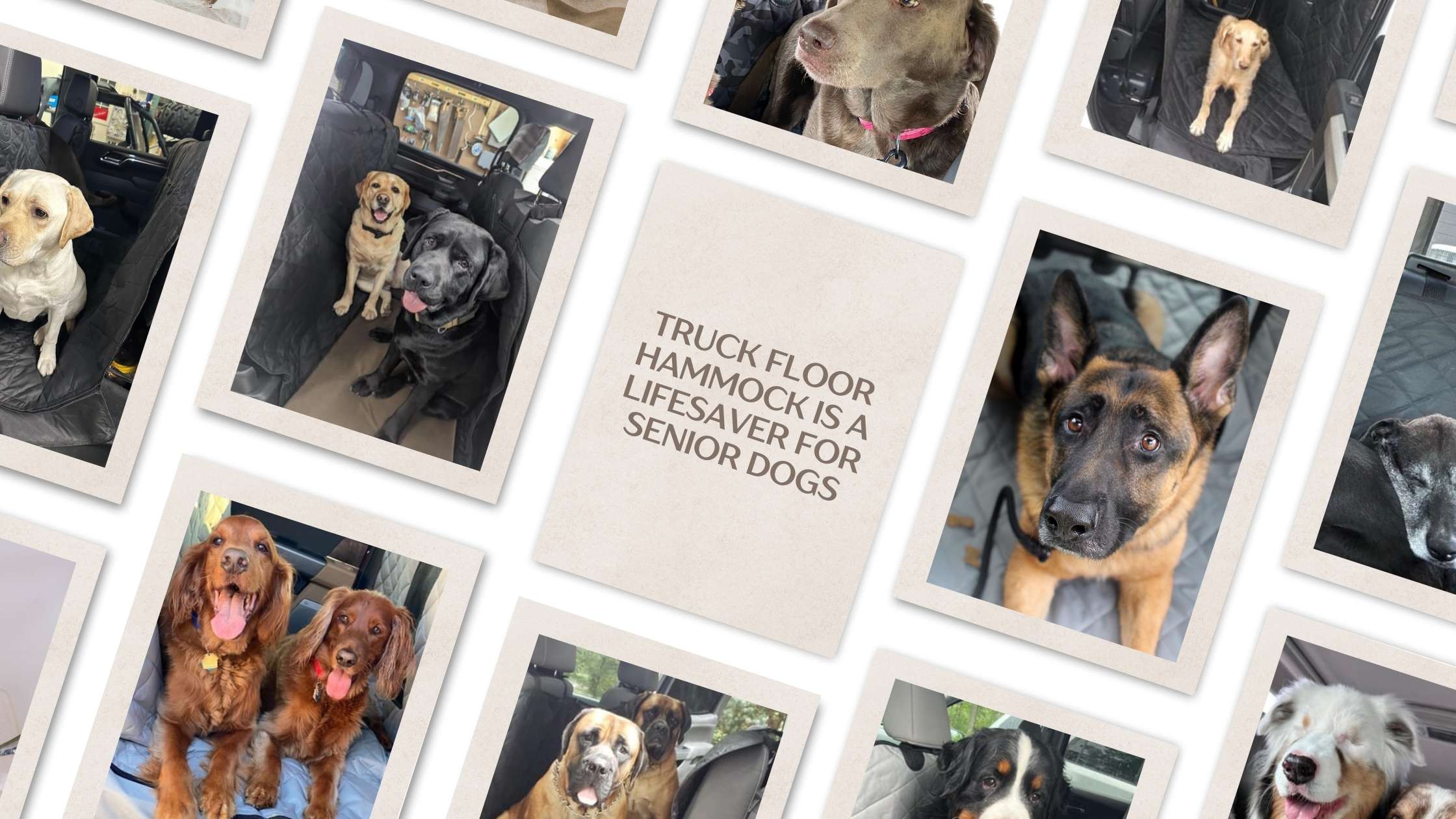 Why 4Knines Floor Hammock is a Great Choice for Truck Owners with Elderly Dogs