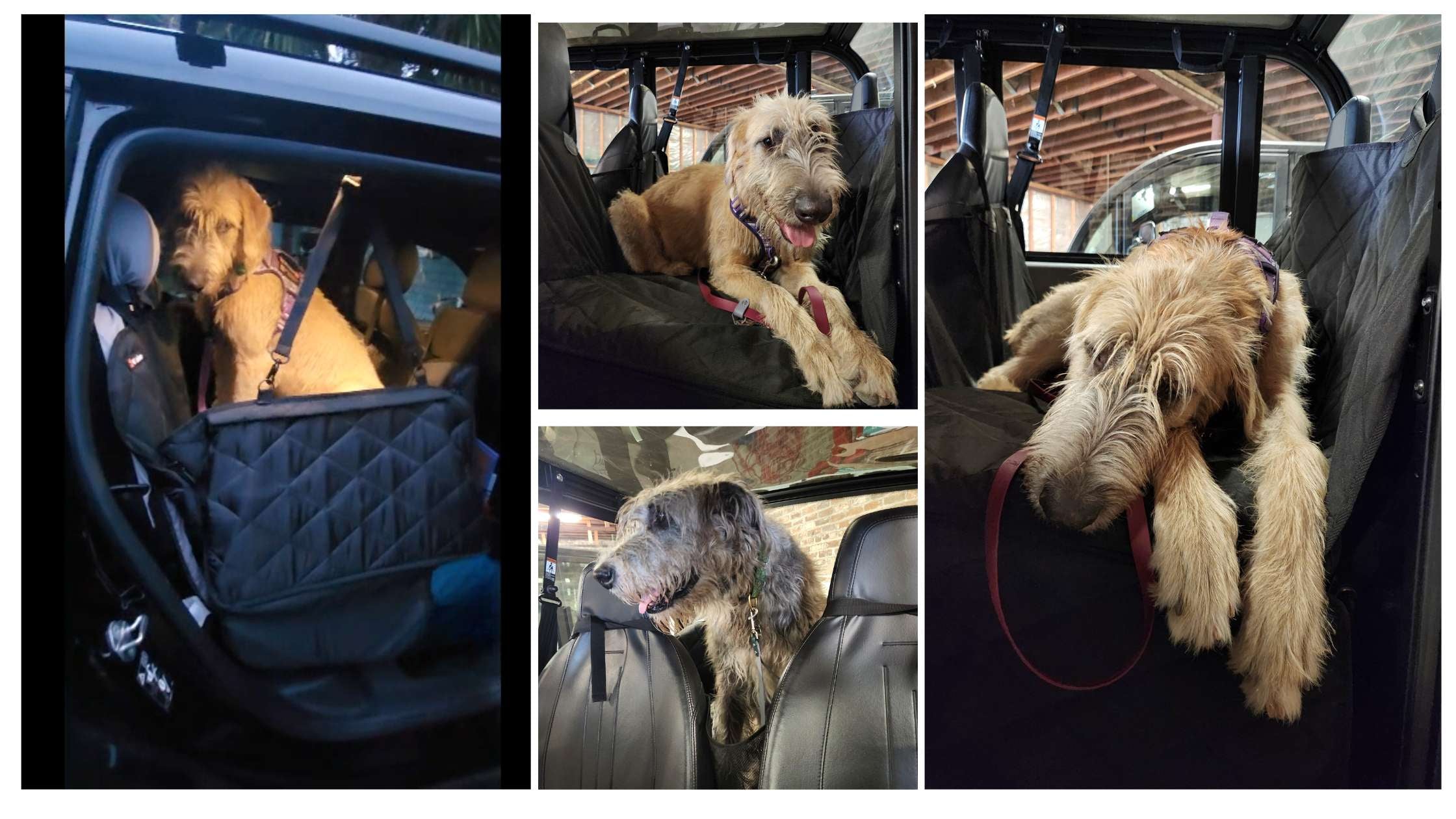 Best Dog Seat Extender for Giant Breeds | Travel in Comfort & Safety