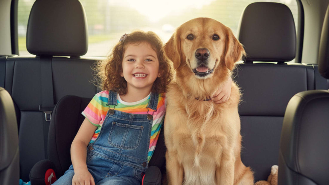 What Dog Car Seat Cover Do I Need? | 4Knines® Durable Pet Protection
