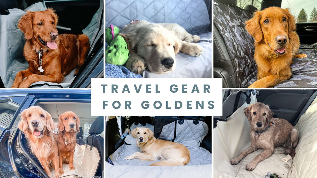 Travel Essentials for Golden Retrievers | Best Seat Covers & Gear