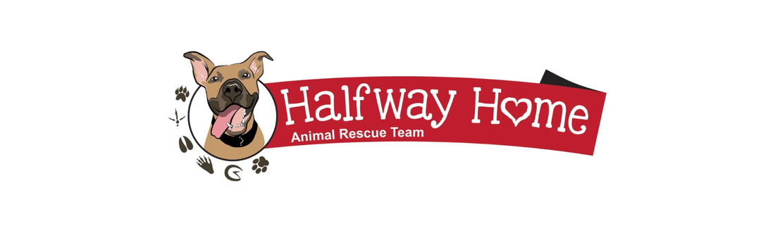 February 2026 Spotlight: Halfway Home Animal Rescue Team