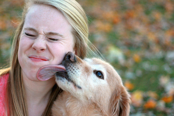 How to Manage and Treat Your Pet’s Bad Breath