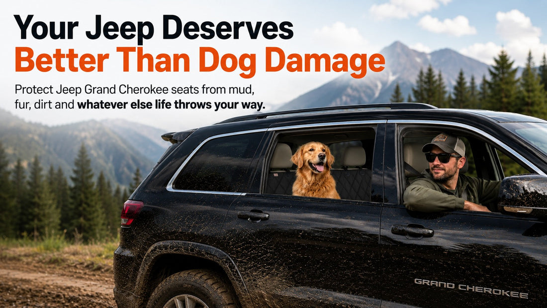 Your Jeep Deserves Better than Dog Damage