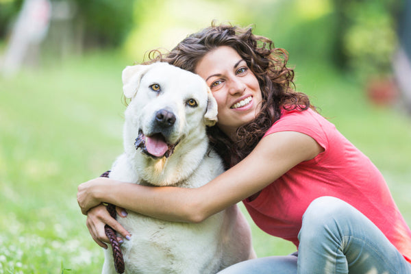K9 Collagen: An Effective, Easy-to-Absorb Supplement for Your Dog’s Joint Issues