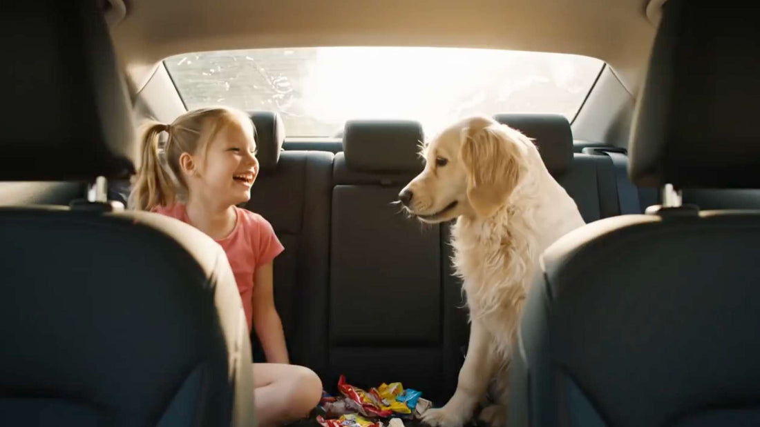 Keeping Every Passenger Comfortable — From Kids to Dogs