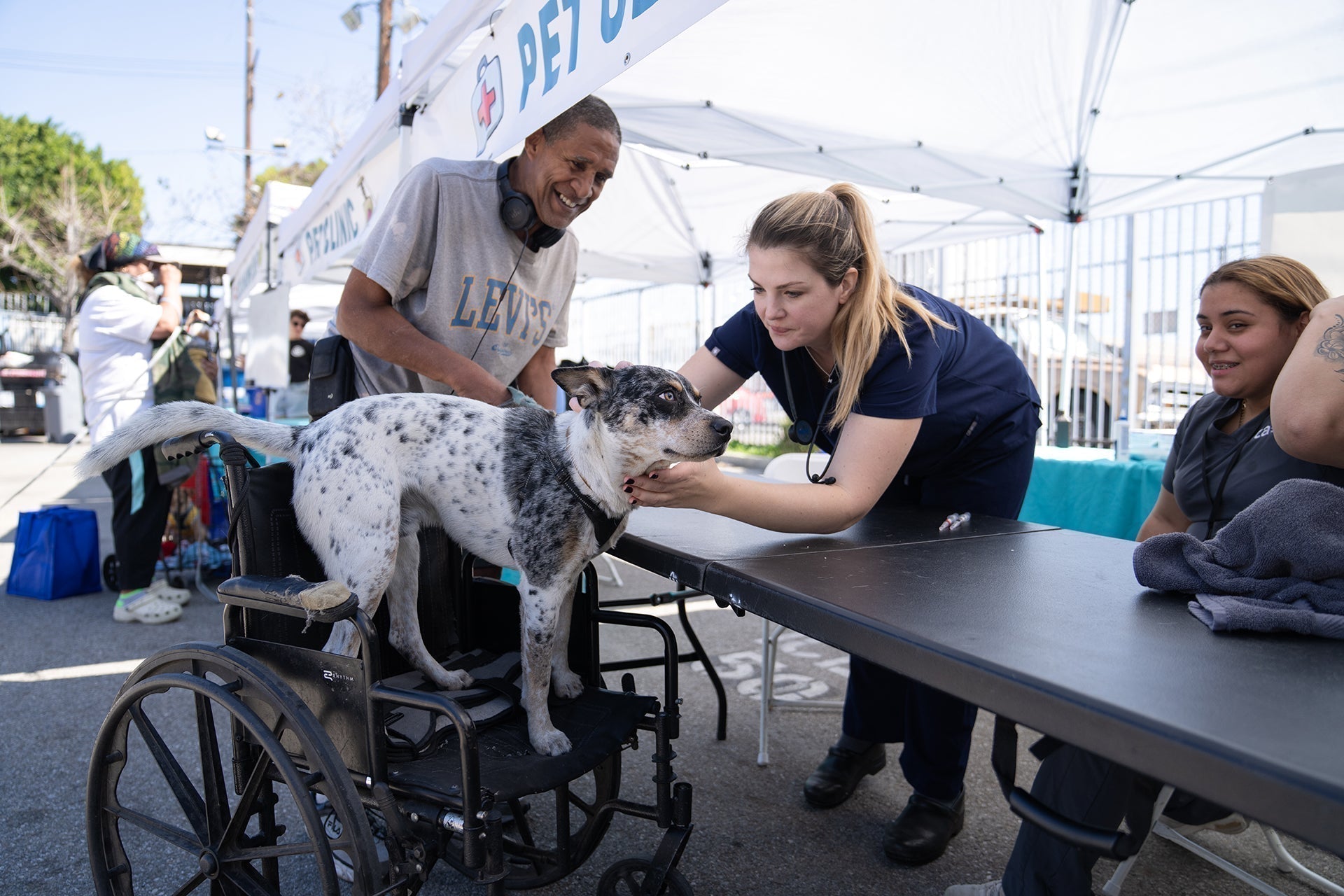 December 2025 Spotlight: The Street Dog Coalition