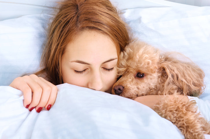 Votre chien doit-il dormir dans votre lit avec vous ?