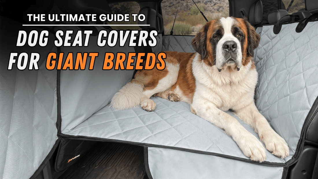 Extra-Large Dog Seat Cover for Giant Breeds Guide