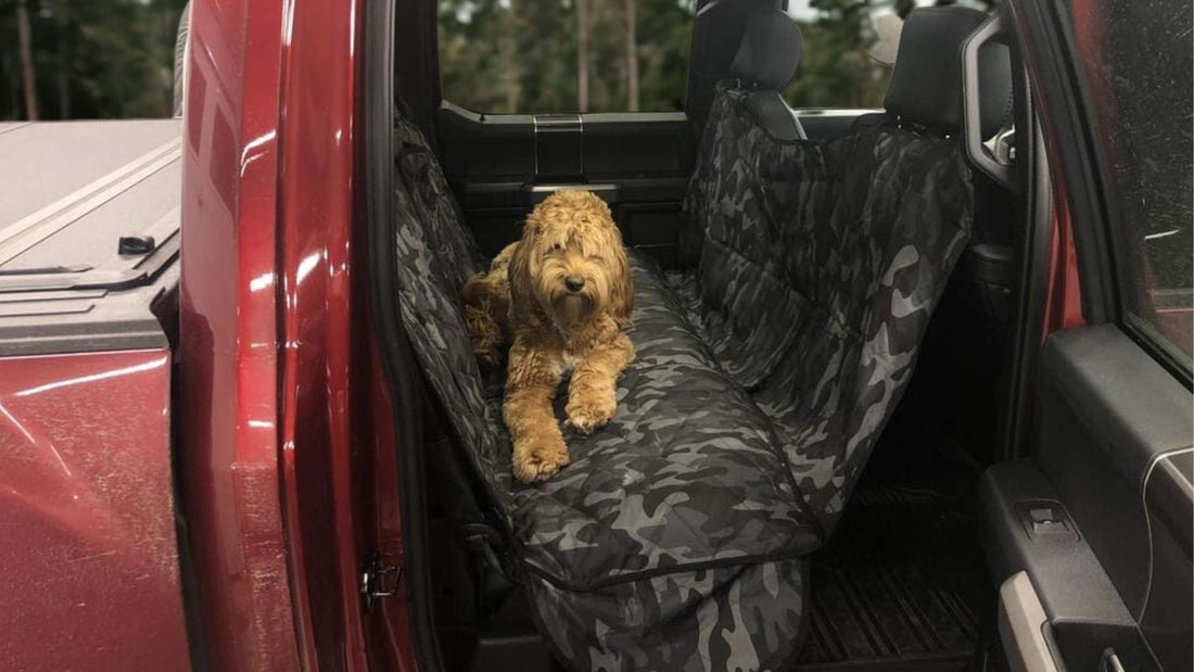 How Do I Pick a Dog Car Cover That Fits Trucks with Crew Cabs? Expert Tips & Features to Look For