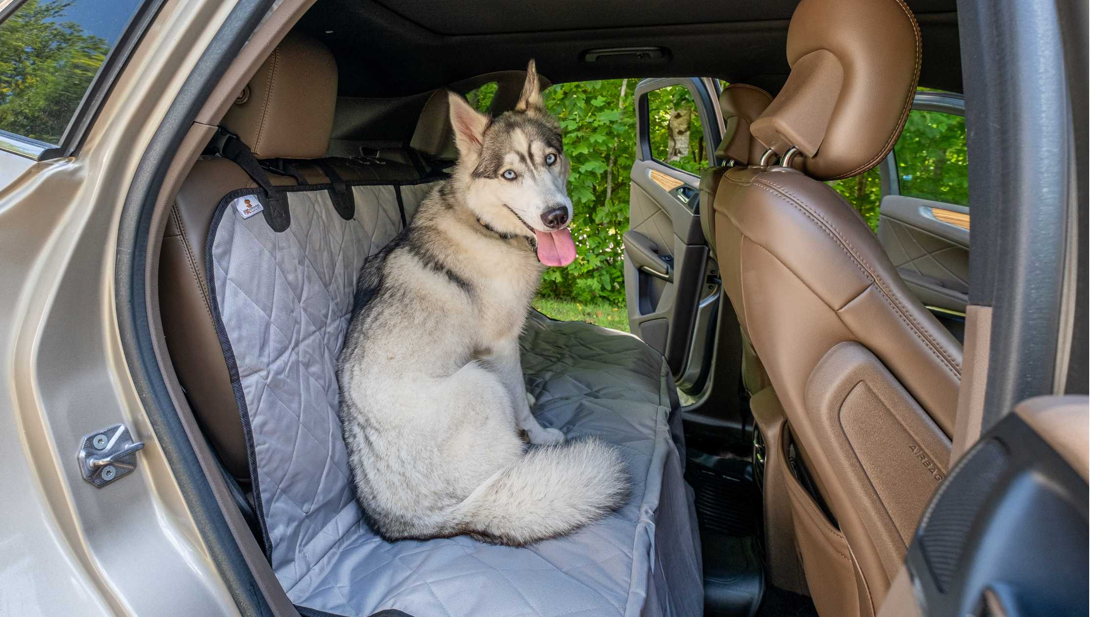 What Are the Most Durable Car Seat Covers for Large Dogs?