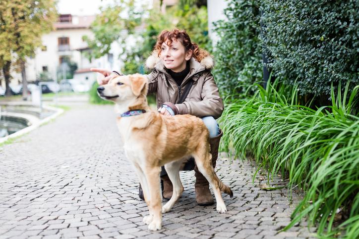 7 Essential Tips You Need to Know Before Hiring a Pet Sitter