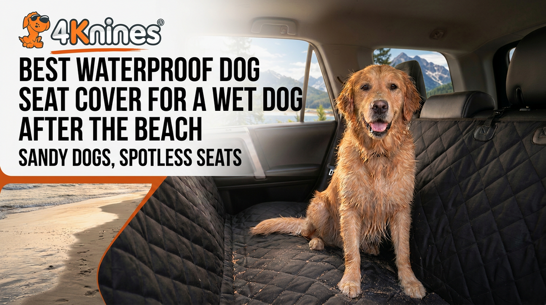 Best Waterproof Dog Seat Cover for a Wet Dog After the Beach