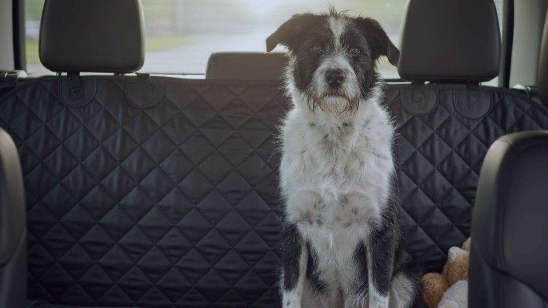 What Should I Look for in a Heavy-Duty Dog Seat Cover? | 4Knines Guide