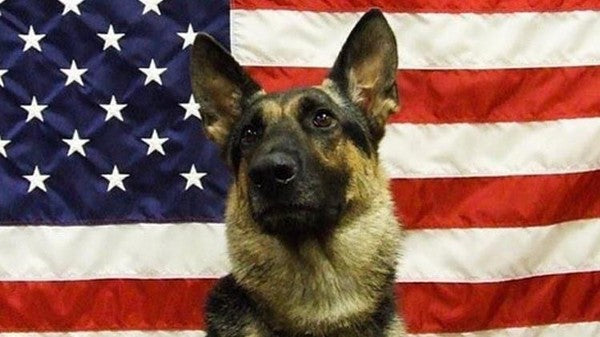 September 2022 Charity Spotlight: Retired Police Canine Foundation