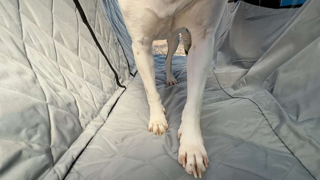 How Can I Stop My Dog from Scratching Car Seats? | 4Knines Durable Seat Covers