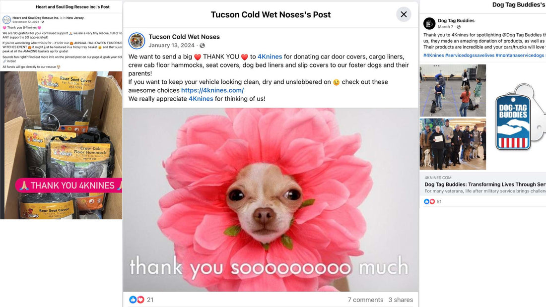 4Knines Donations Social Highlights