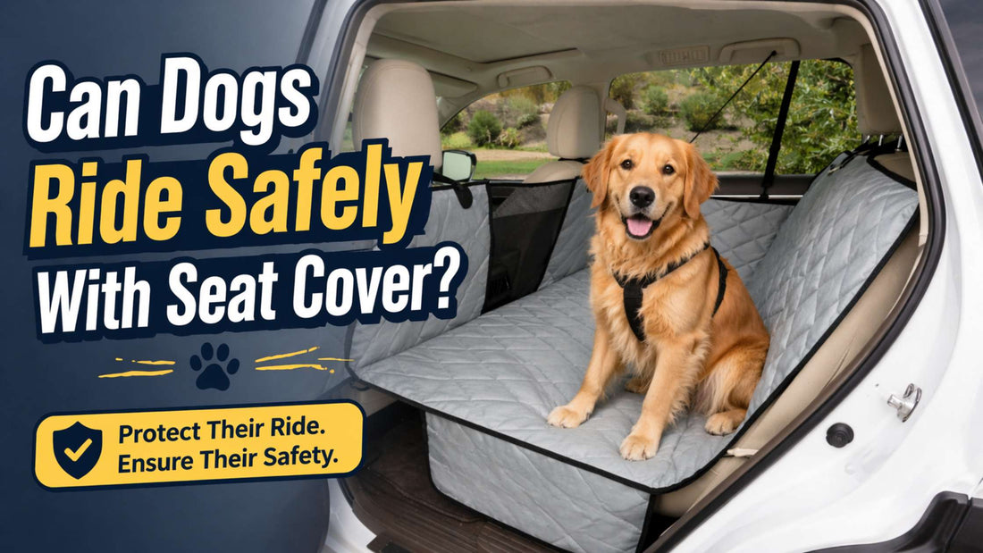 Can Dogs Ride Safely With Seat Cover? Essential Guide