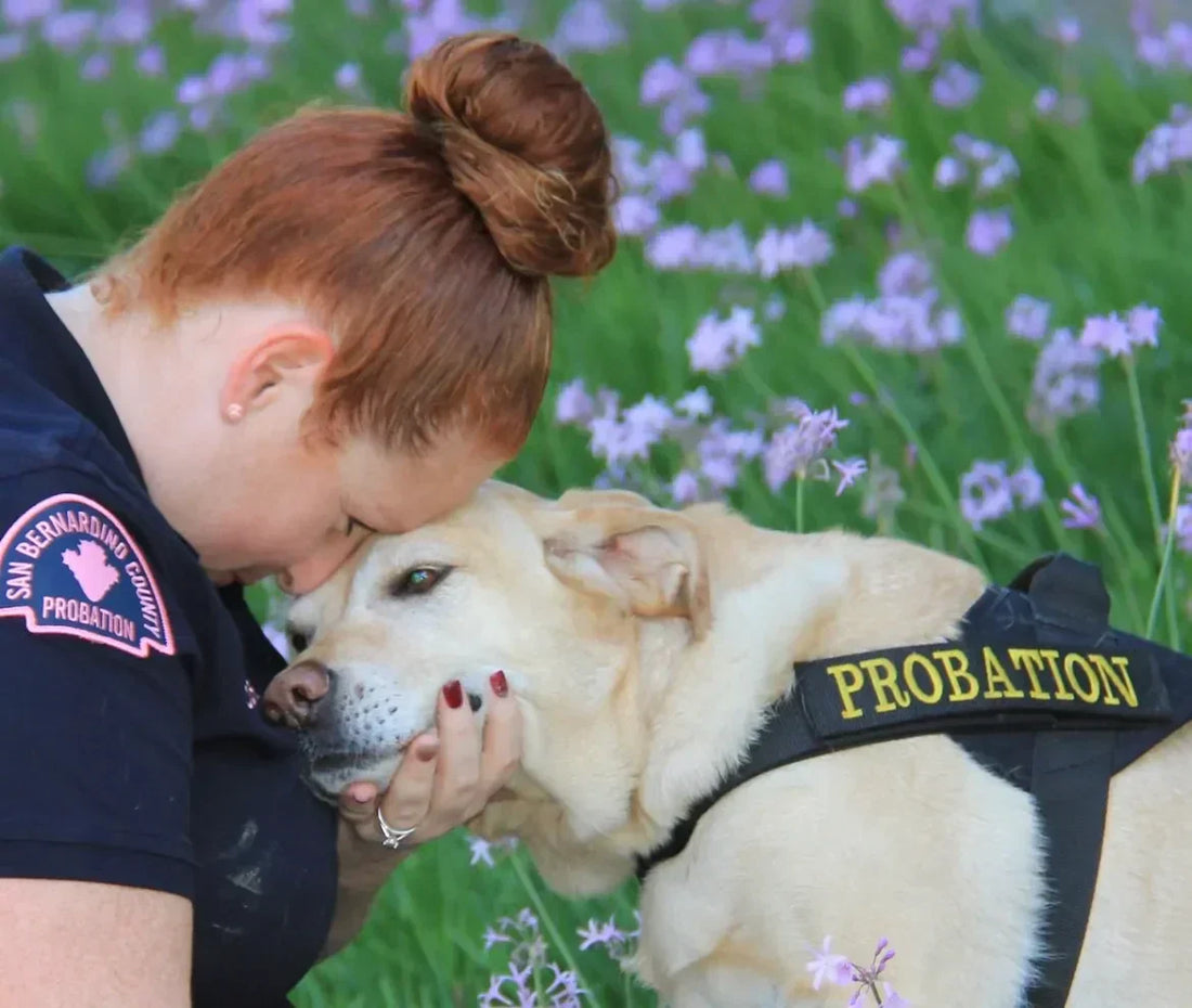 July 2026 Spotlight: Helping Every Animal League (H.E.A.L.)