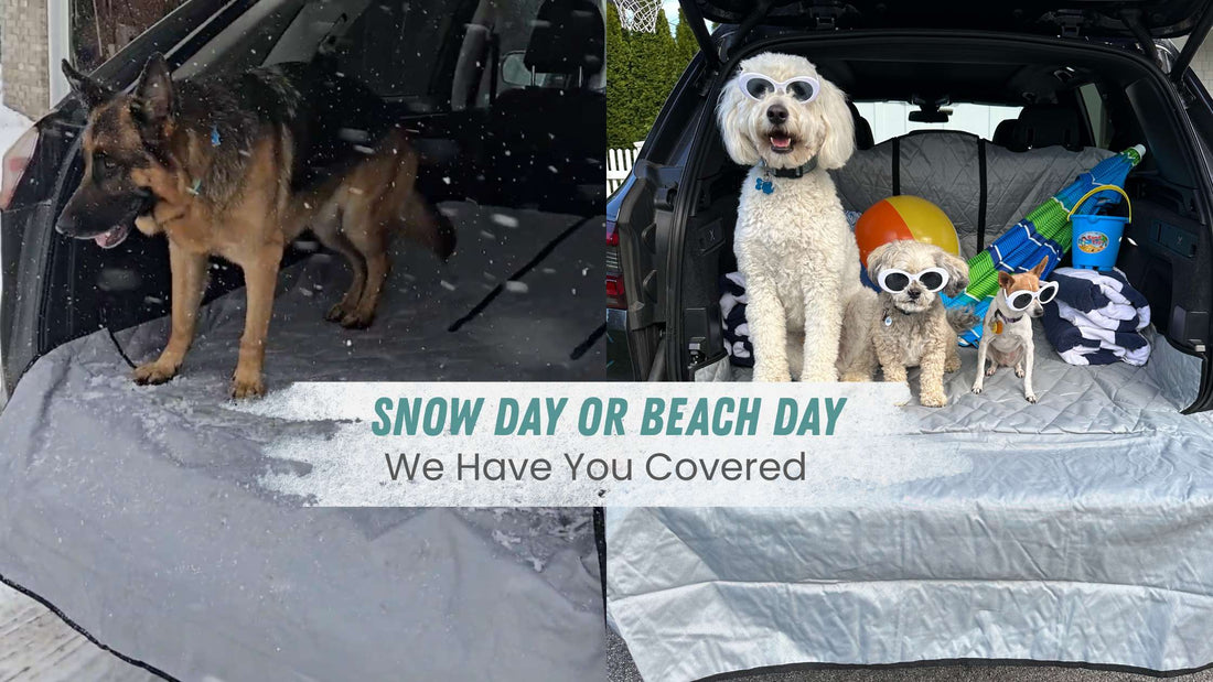 Which Cargo Liners Are Easiest to Install? A Stress-Free Guide