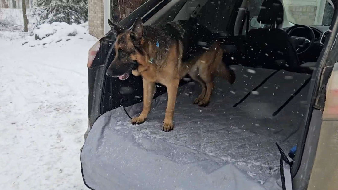 Are There Waterproof or Washable Options for Dog Seat Covers? | 4Knines®