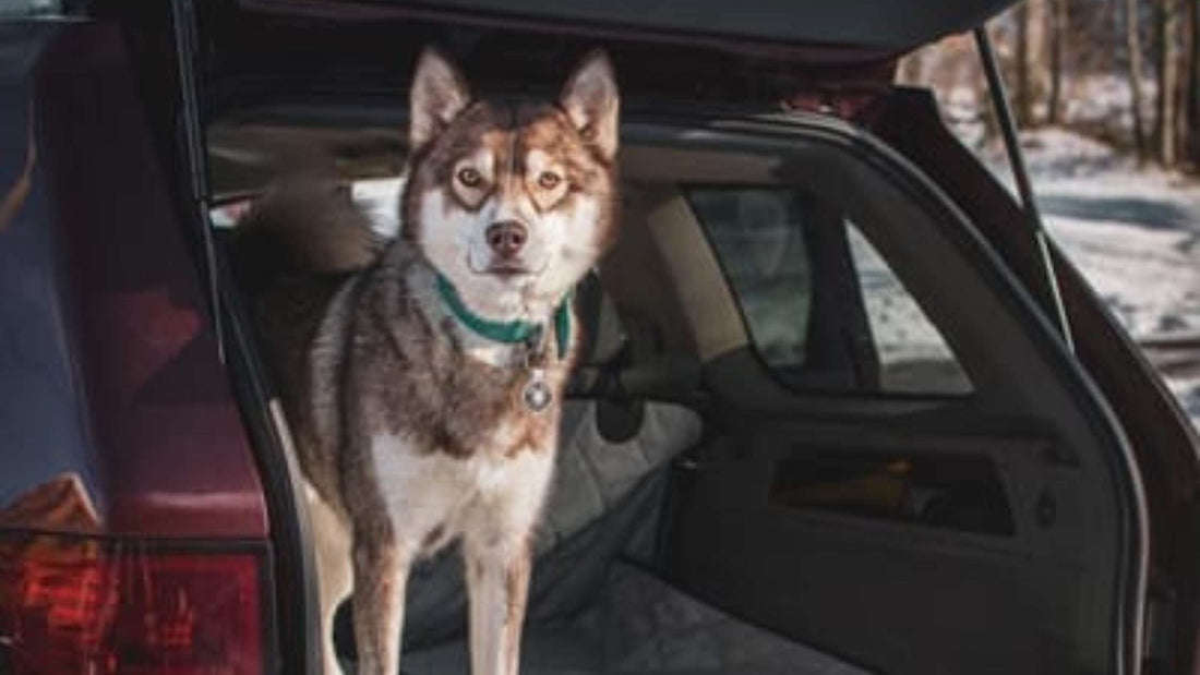 How Do I Select a Pet Cargo Liner That Supports Split-Folding Seats and Third-Row Access? | 4Knines Guide