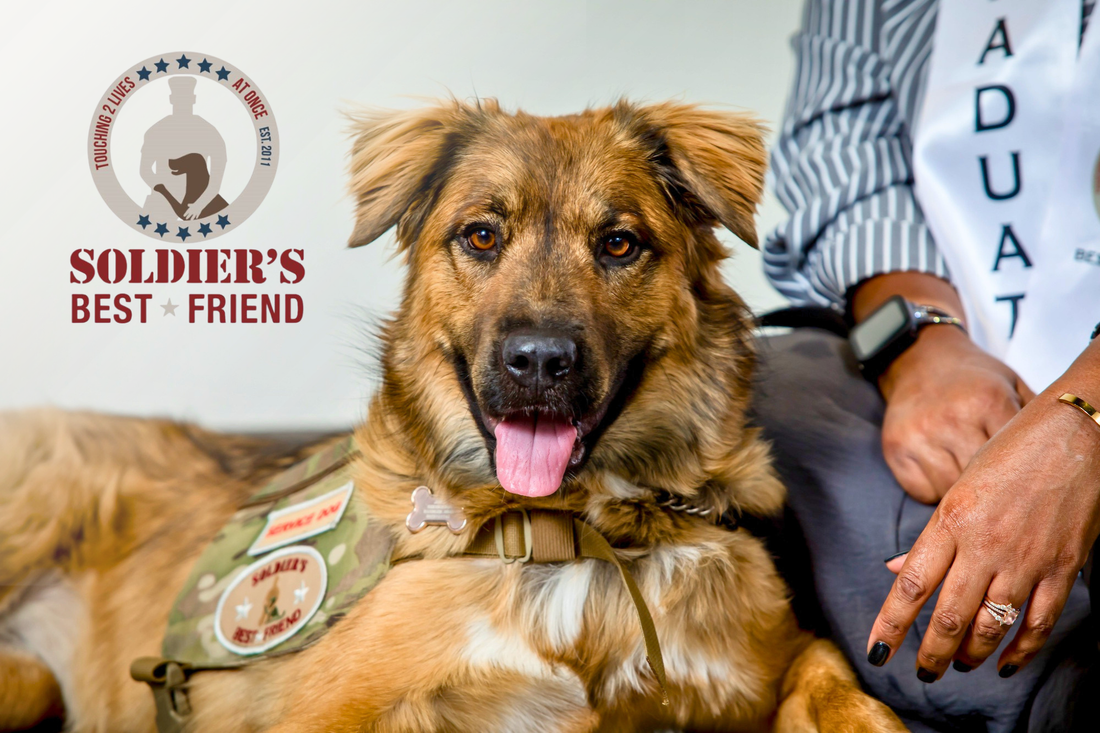 May 2026 Spotlight: Soldiers Best Friend