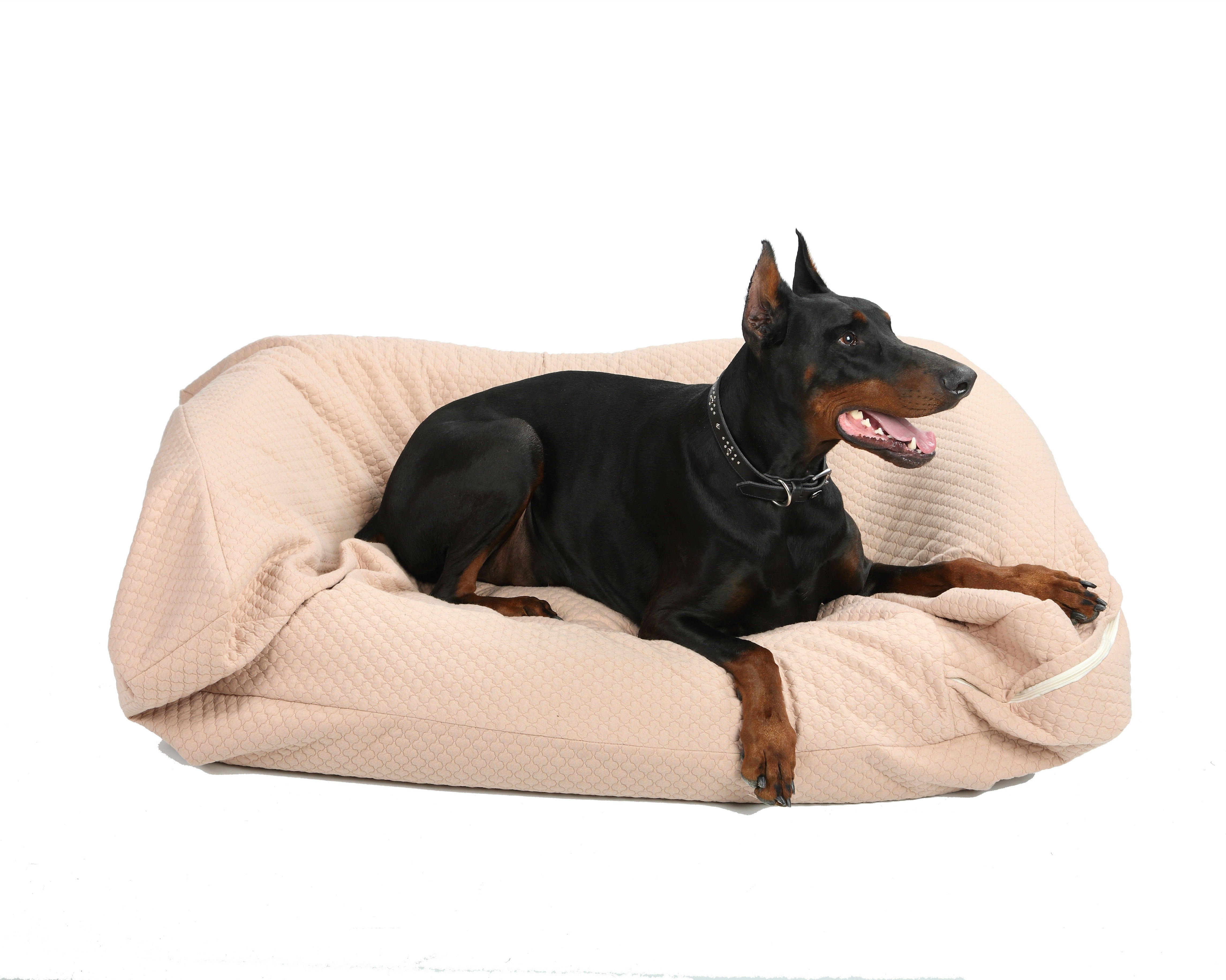 Dog Bed Liners and Covers