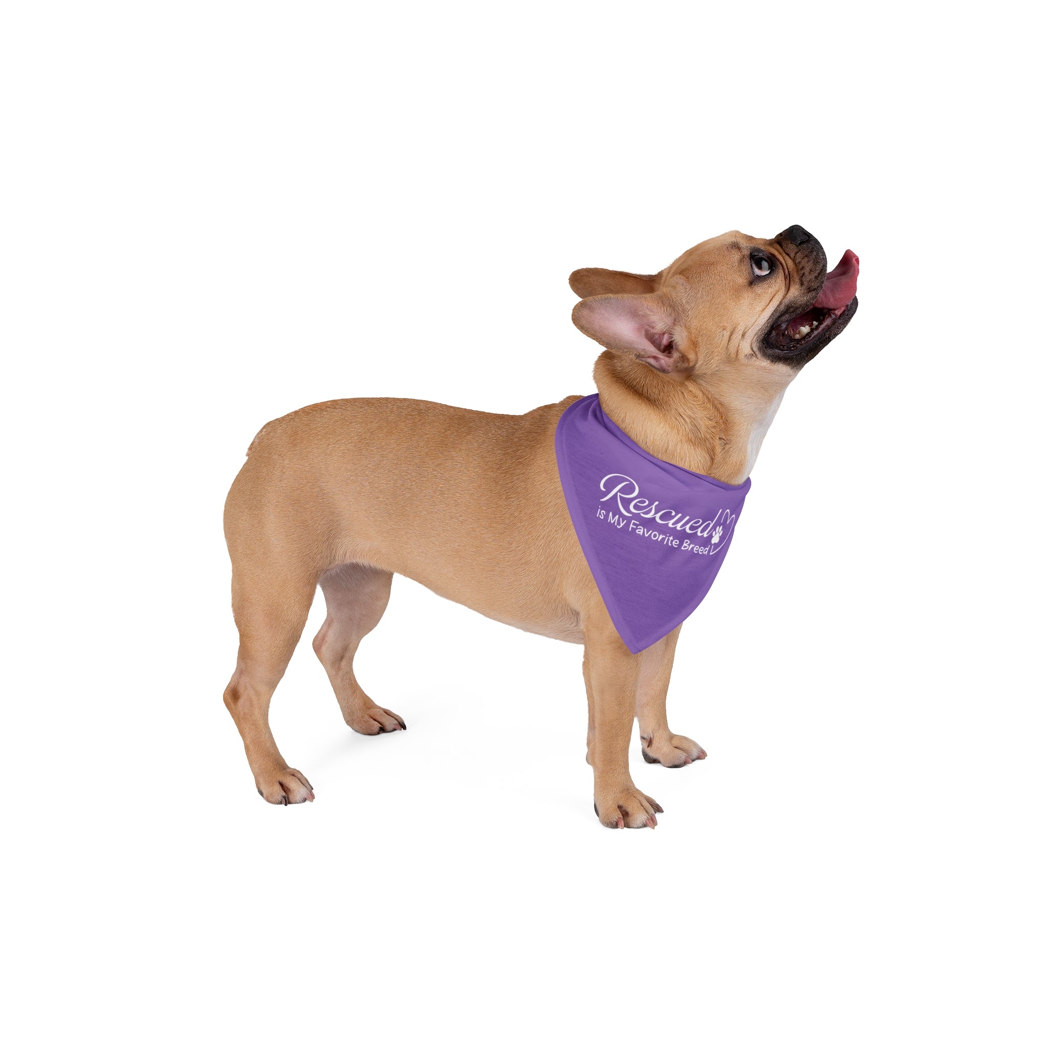 Rescued is My Favorite Breed | Purple Dog Bandana