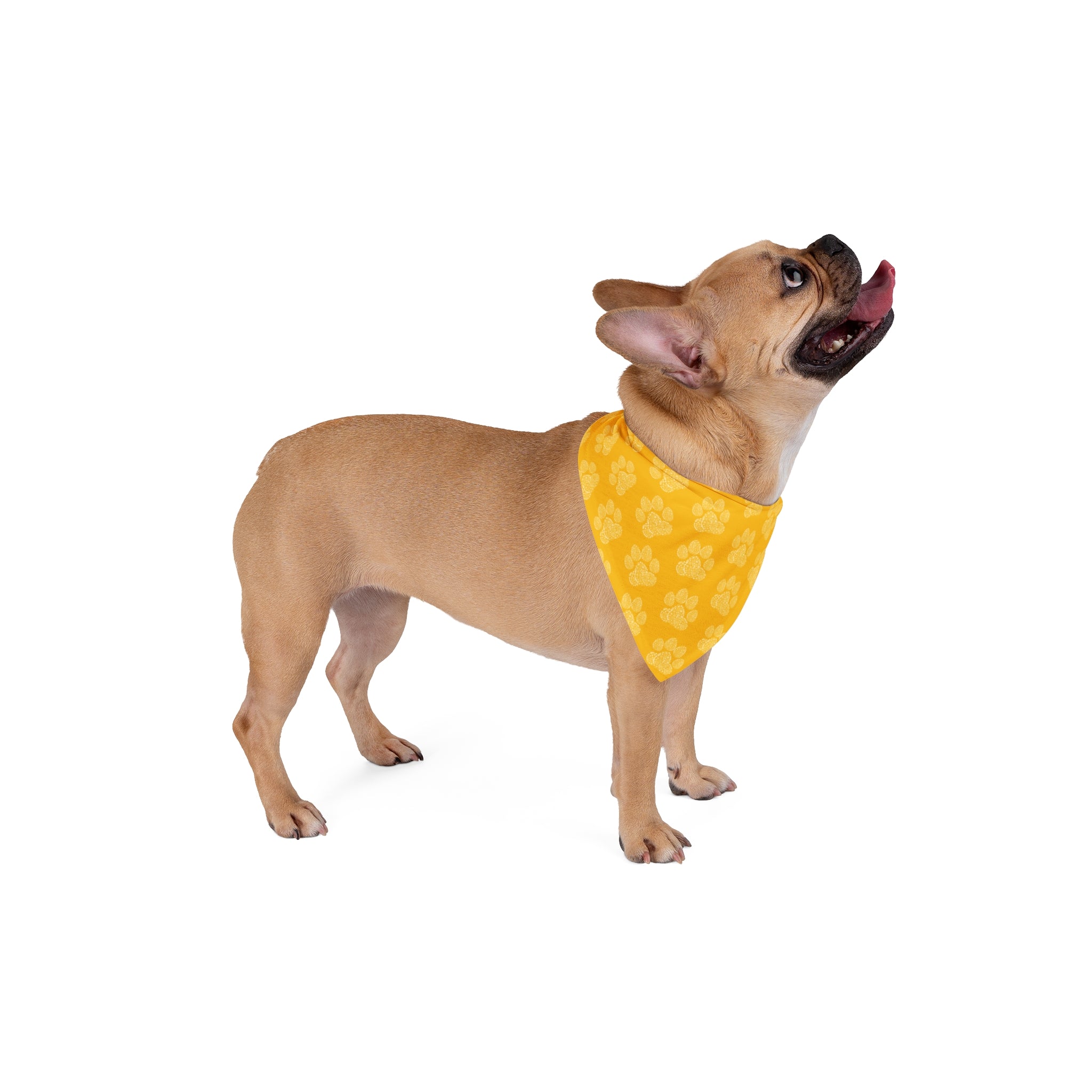 Flower Paw | Yellow Dog Bandana