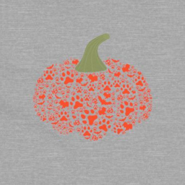 Pumpkin Paw | Fall Design for Dog Lovers Womens Tshirt close up