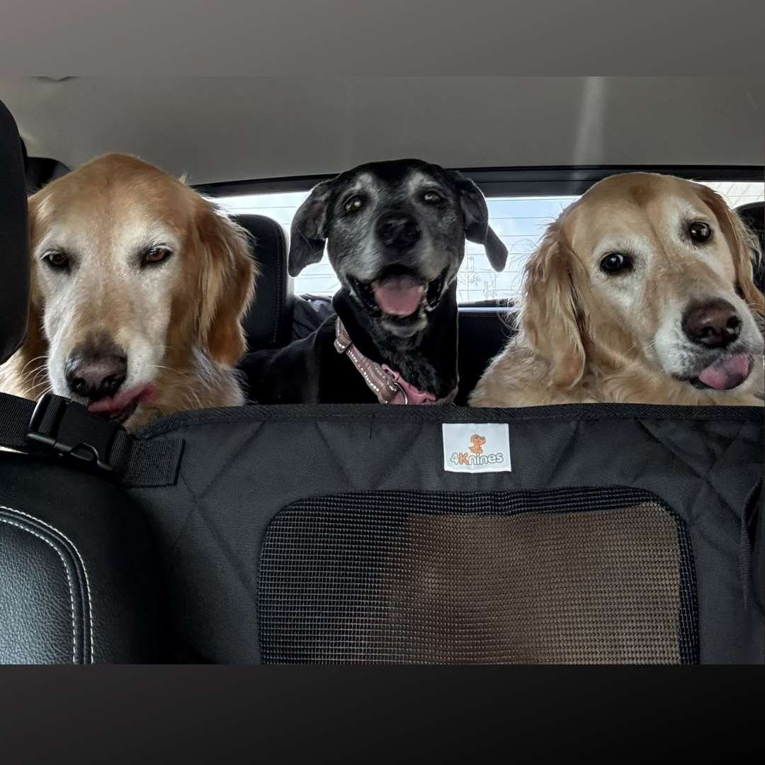 Dog Deterrent Barrier