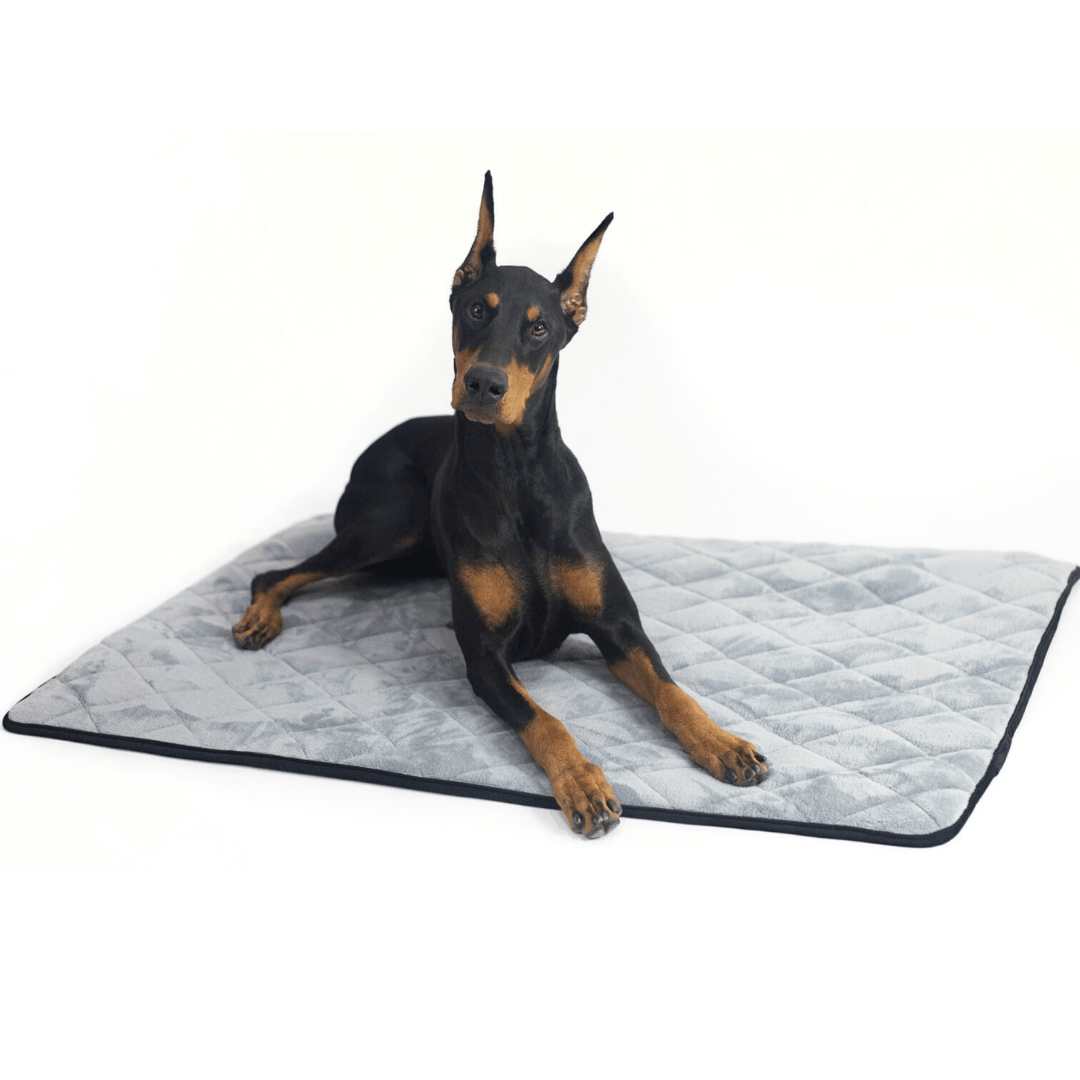 Crate Mat / Travel Bed