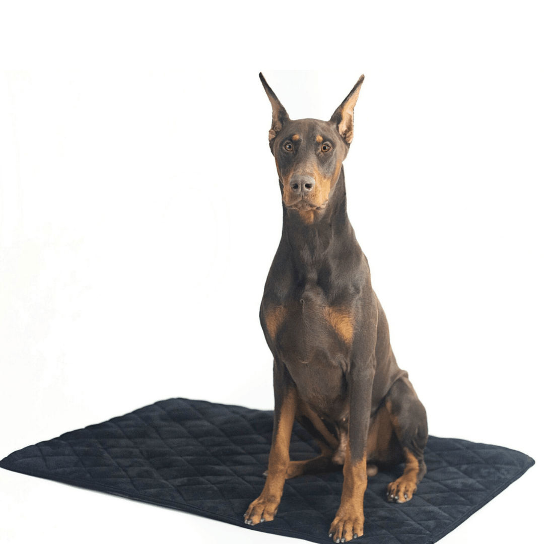 Crate Mat / Travel Bed with dog Black