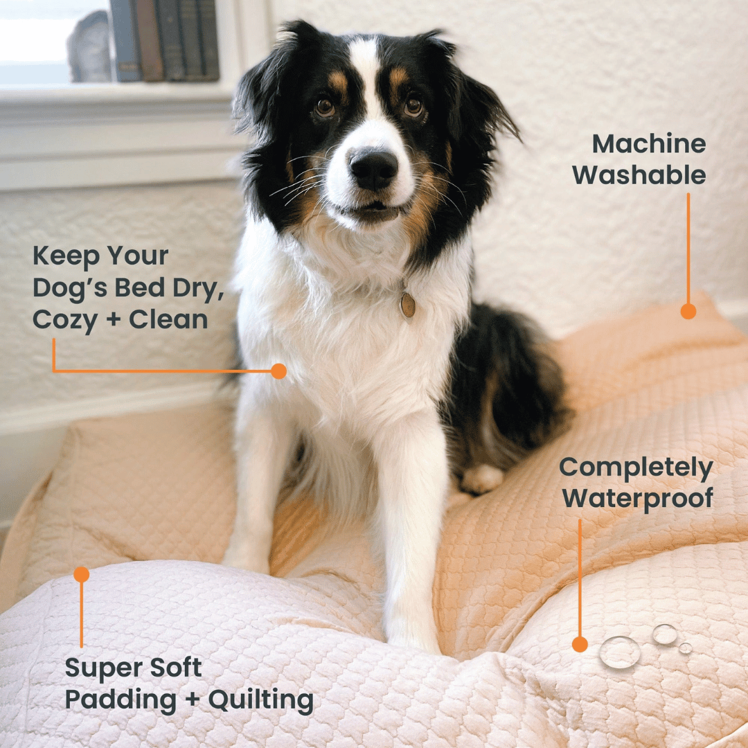 4Knines Waterproof Dog Bed Slip Cover features
