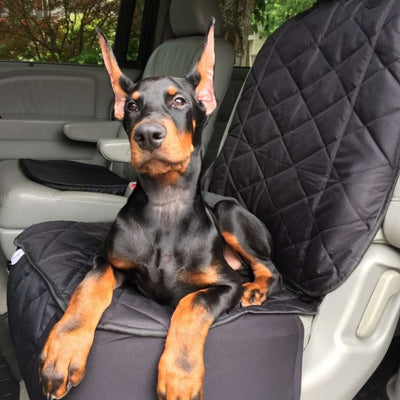 https://4knines.com/products/bucket-seat-cover-for-dogs-and-pets-for-cars-trucks-and-suvs