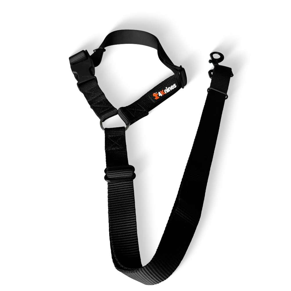Dog Headrest Seat Belt