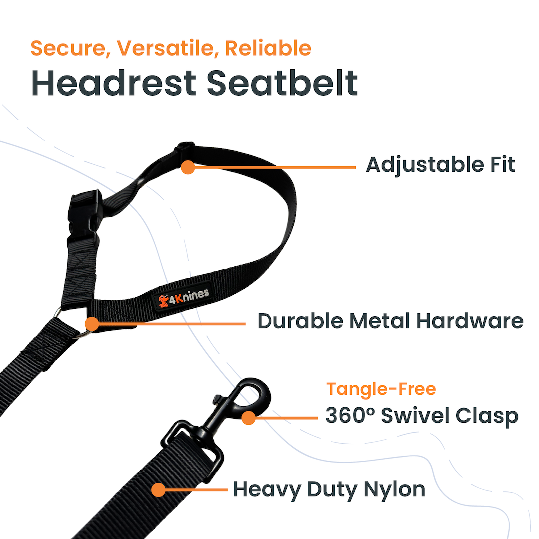 Dog Headrest Seat Belt