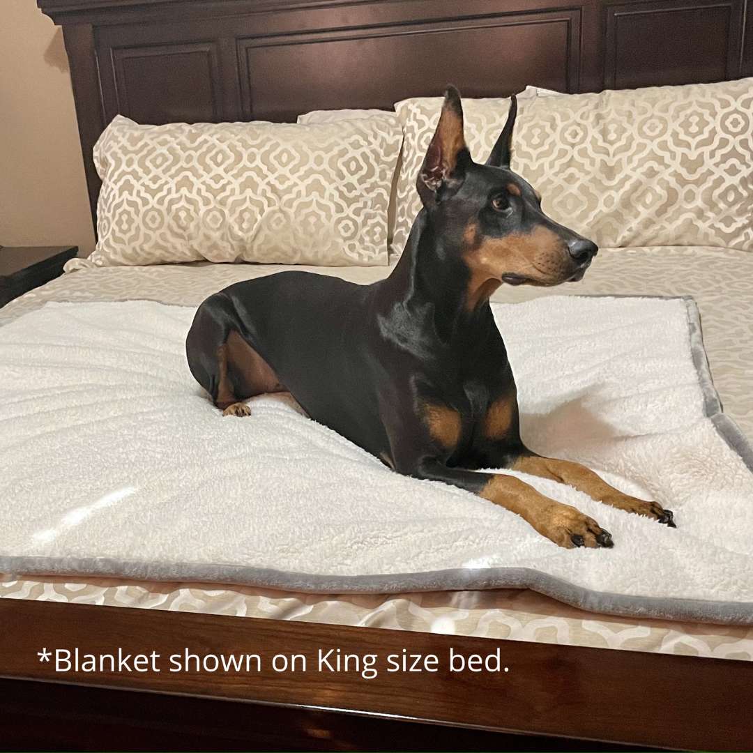 Waterproof Plush Dog Blanket