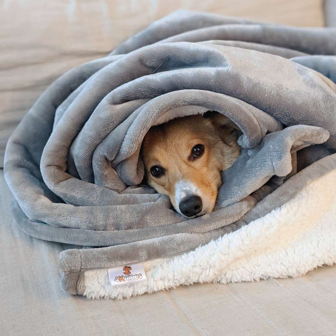 Waterproof Plush Dog Blanket